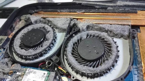 HP Laptop General Service